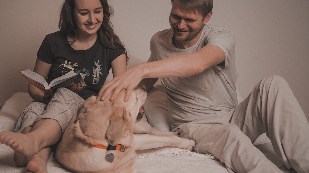 Smiling couple enjoying time with their Labrador on a bed indoors.